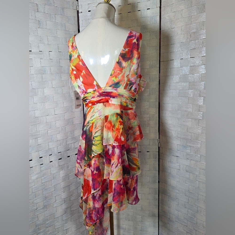 LIV FOSTER DRESS - Picture 6 of 14